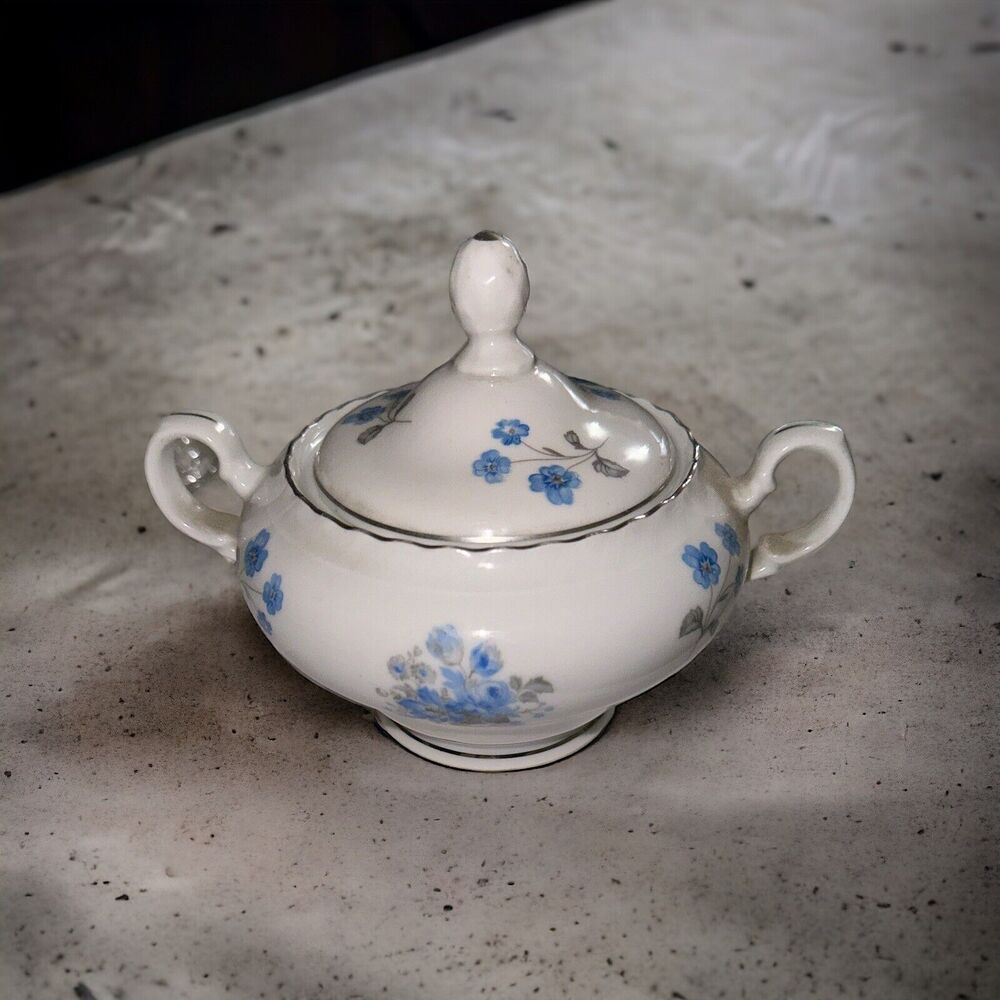 VTG Czechoslovakia Blue Flowers Lidded Floral Sugar Bowl Fine Bohemian China